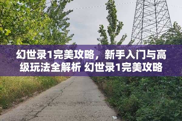幻世录1完美攻略，新手入门与高级玩法全解析 幻世录1完美攻略