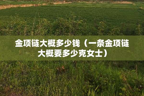 金项链大概多少钱（一条金项链大概要多少克女士）