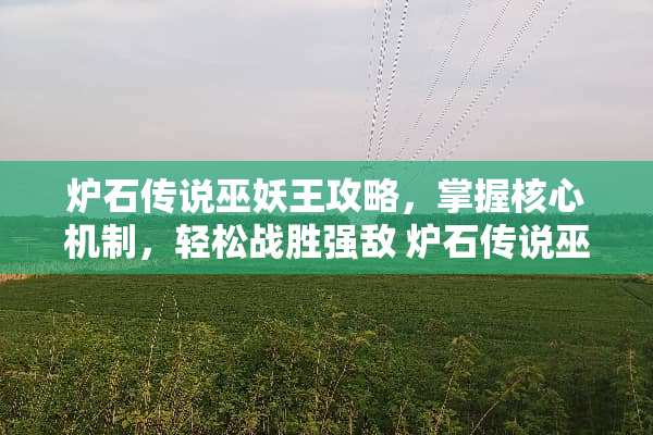 炉石传说巫妖王攻略，掌握核心机制，轻松战胜强敌 炉石传说巫妖王攻略