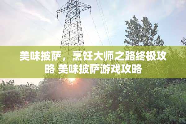 美味披萨，烹饪大师之路终极攻略 美味披萨游戏攻略
