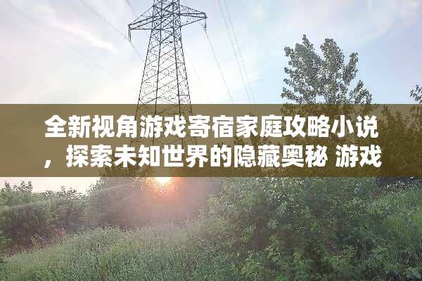 全新视角游戏寄宿家庭攻略小说，探索未知世界的隐藏奥秘 游戏寄宿家庭攻略小说