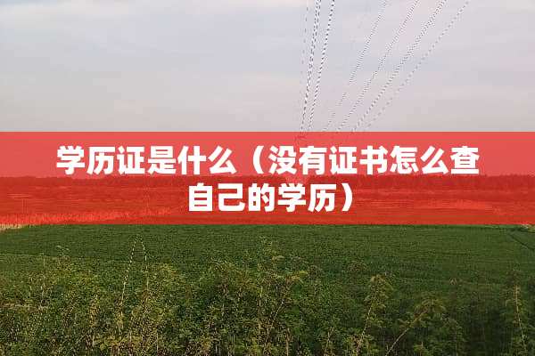 学历证是什么（没有证书怎么查自己的学历）