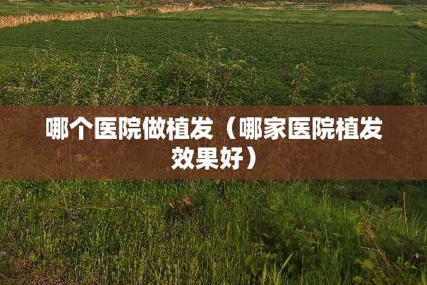 哪个医院做植发（哪家医院植发效果好）