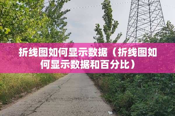 折线图如何显示数据（折线图如何显示数据和百分比）
