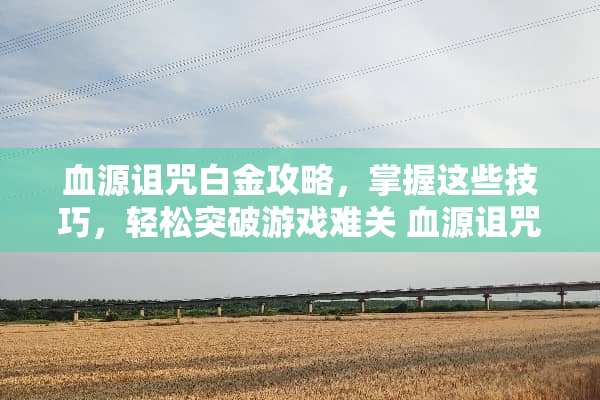 血源诅咒白金攻略，掌握这些技巧，轻松突破游戏难关 血源诅咒白金攻略