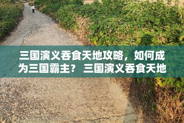 三国演义吞食天地攻略，如何成为三国霸主？ 三国演义吞食天地攻略