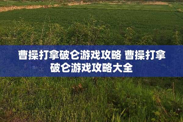 曹操打拿破仑游戏攻略 曹操打拿破仑游戏攻略大全