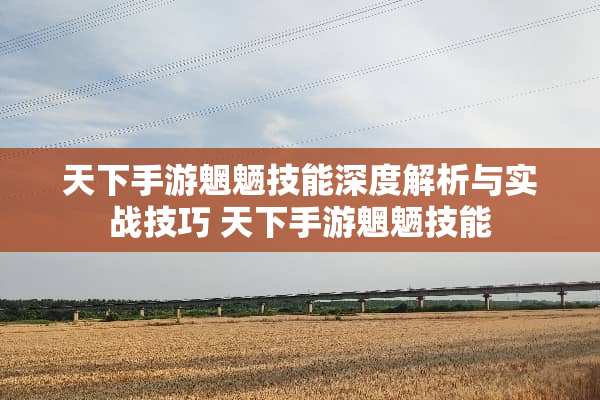 天下手游魍魉技能深度解析与实战技巧 天下手游魍魉技能