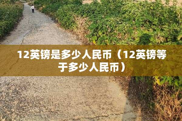 12英镑是多少人民币（12英镑等于多少人民币）