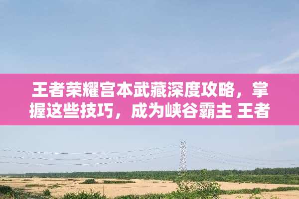 王者荣耀宫本武藏深度攻略，掌握这些技巧，成为峡谷霸主 王者荣耀宫本玩法