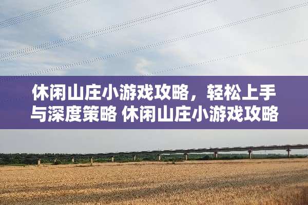 休闲山庄小游戏攻略，轻松上手与深度策略 休闲山庄小游戏攻略