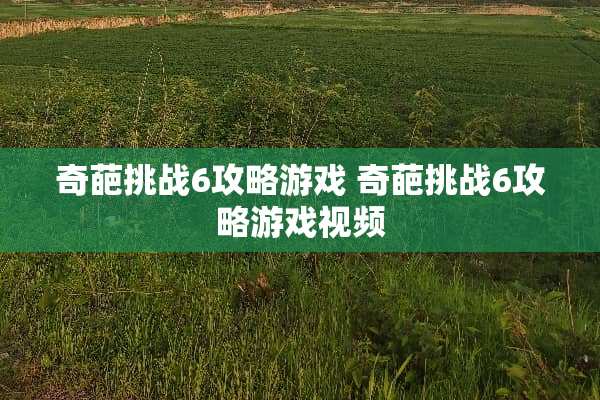 奇葩挑战6攻略游戏 奇葩挑战6攻略游戏视频