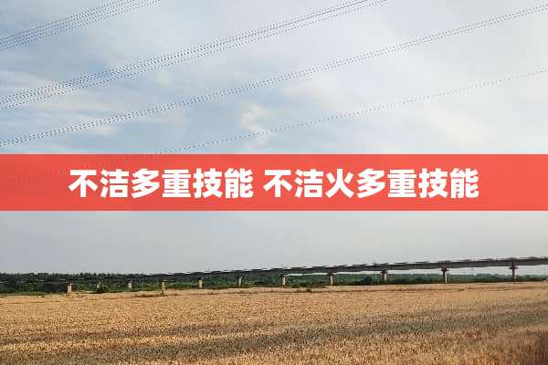 不洁多重技能 不洁火多重技能