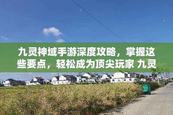 九灵神域手游深度攻略，掌握这些要点，轻松成为顶尖玩家 九灵神域手游攻略