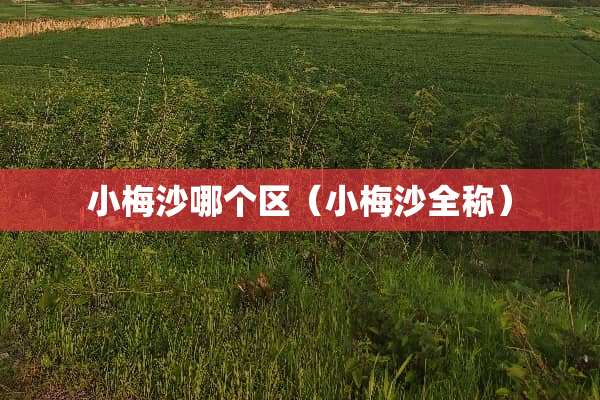小梅沙哪个区（小梅沙全称）