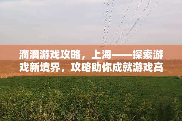 滴滴游戏攻略，上海——探索游戏新境界，攻略助你成就游戏高手 滴滴游戏攻略上海