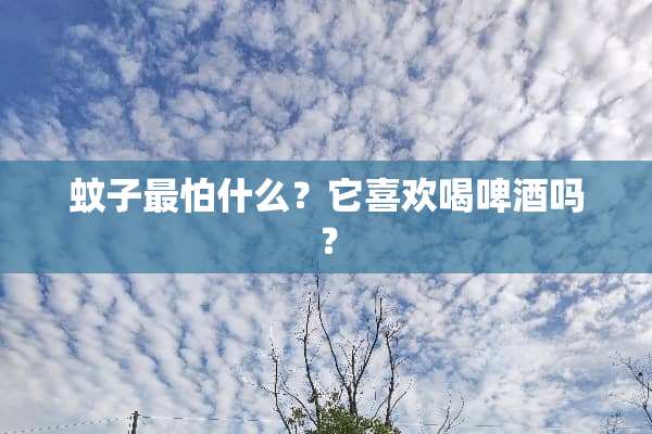 蚊子最怕什么？它喜欢喝啤酒吗？