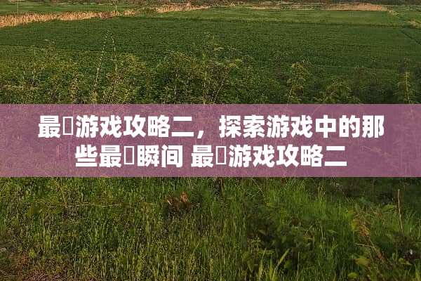 最囧游戏攻略二，探索游戏中的那些最囧瞬间 最囧游戏攻略二