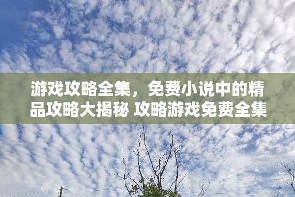 游戏攻略全集，免费小说中的精品攻略大揭秘 攻略游戏免费全集小说