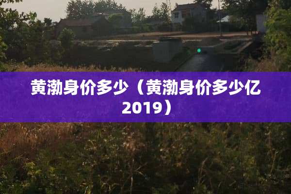 黄渤身价多少（黄渤身价多少亿2019）