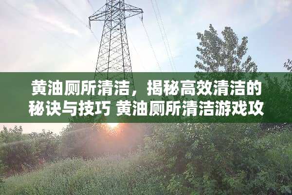 黄油厕所清洁，揭秘高效清洁的秘诀与技巧 黄油厕所清洁游戏攻略