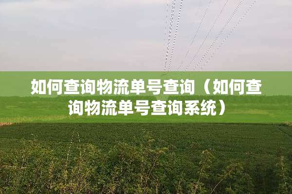 如何查询物流单号查询（如何查询物流单号查询系统）