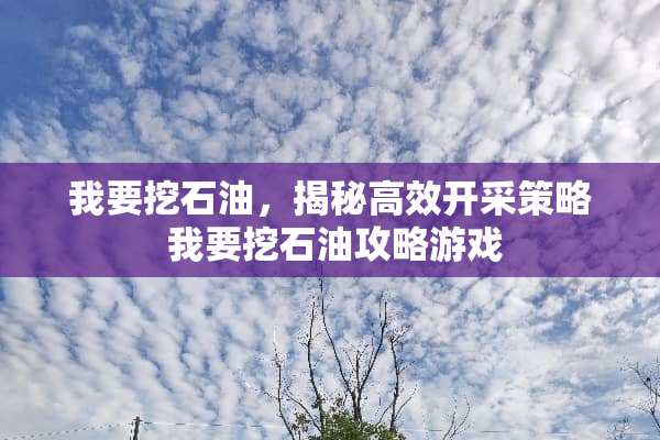 我要挖石油，揭秘高效开采策略 我要挖石油攻略游戏
