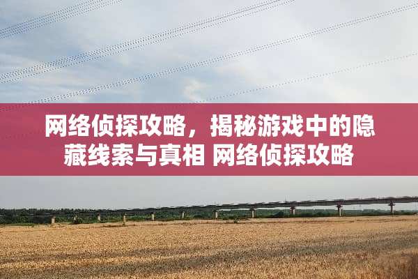 网络侦探攻略，揭秘游戏中的隐藏线索与** 网络侦探攻略