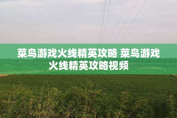 菜鸟游戏火线精英攻略 菜鸟游戏火线精英攻略视频