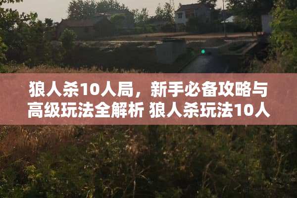 狼人杀10人局，新手必备攻略与高级玩法全解析 狼人杀玩法10人