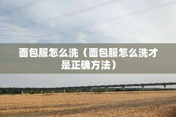 面包服怎么洗（面包服怎么洗才是正确方法）