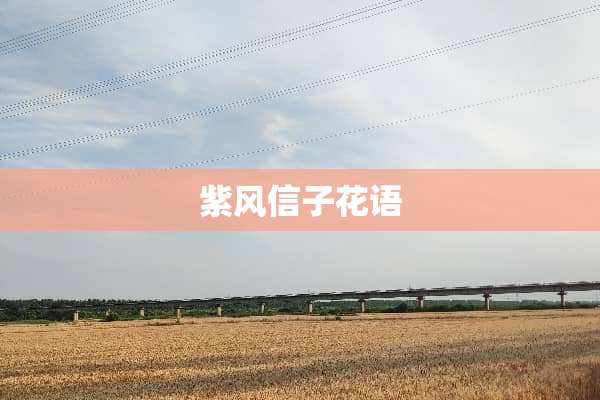 紫风信子花语