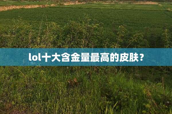 lol十大含金量最高的皮肤？