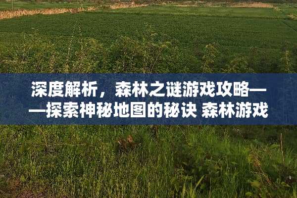 深度解析，森林之谜游戏攻略——探索神秘地图的秘诀 森林游戏攻略地图