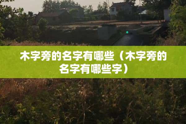 木字旁的名字有哪些（木字旁的名字有哪些字）