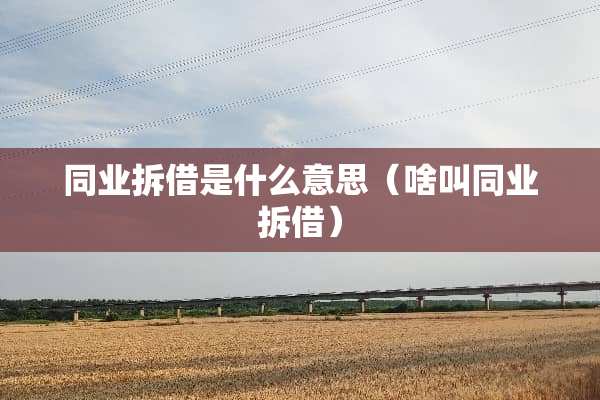 同业拆借是什么意思（啥叫同业拆借）