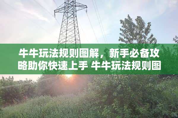 **玩法规则图解，新手必备攻略助你快速上手**玩法规则图解