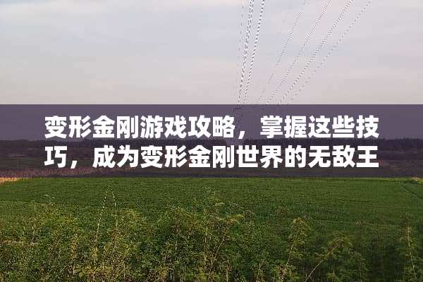 变形金刚游戏攻略，掌握这些技巧，成为变形金刚世界的无敌王者 变形金刚攻略