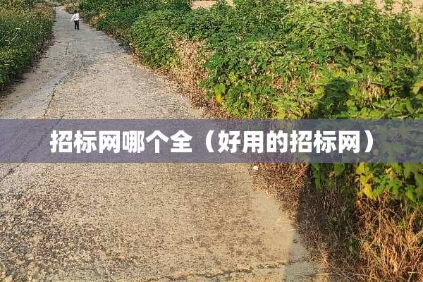 招标网哪个全（好用的招标网）