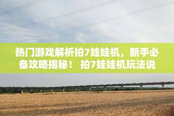 热门游戏解析拍7娃娃机，新手必备攻略揭秘！ 拍7娃娃机玩法说明