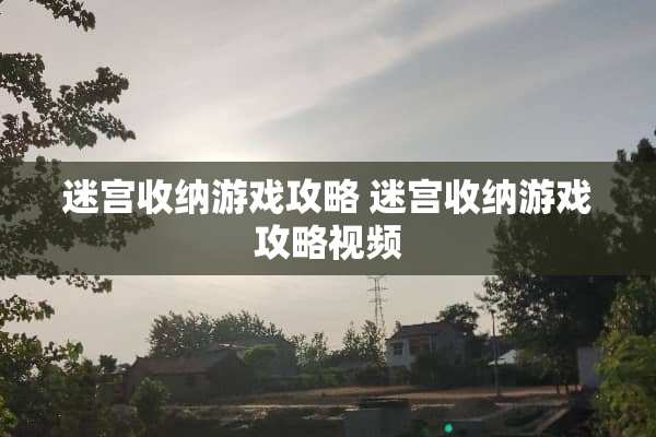 迷宫收纳游戏攻略 迷宫收纳游戏攻略视频