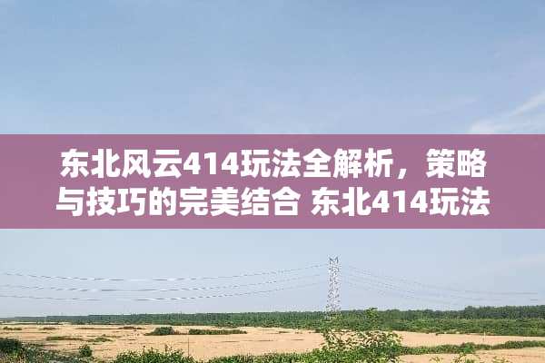 东北风云414玩法全解析，策略与技巧的完美结合 东北414玩法