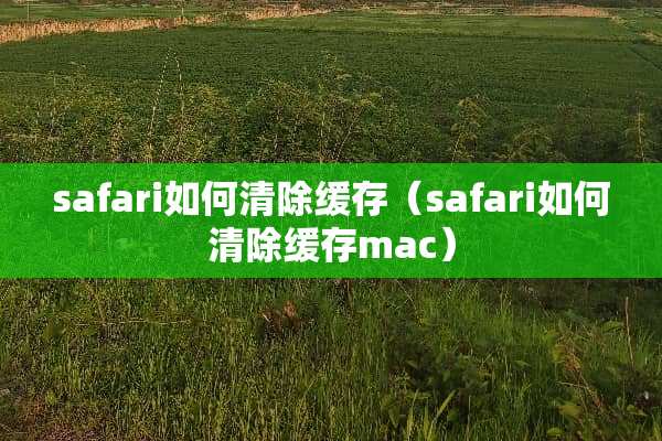 safari如何清除缓存（safari如何清除缓存mac）