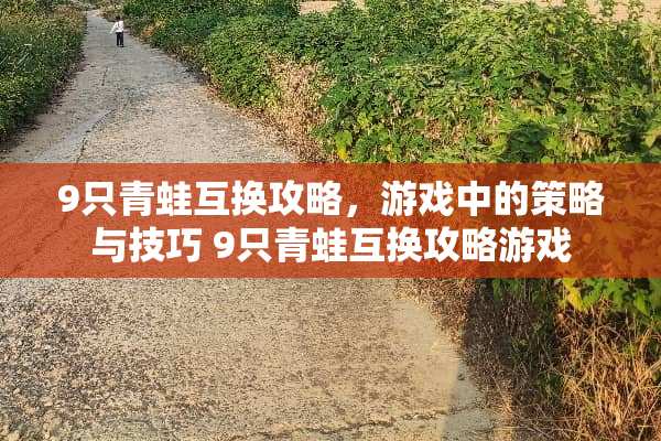 9只青蛙互换攻略，游戏中的策略与技巧 9只青蛙互换攻略游戏