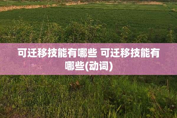 可迁移技能有哪些 可迁移技能有哪些(动词)