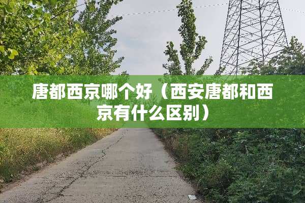 唐都西京哪个好（西安唐都和西京有什么区别）