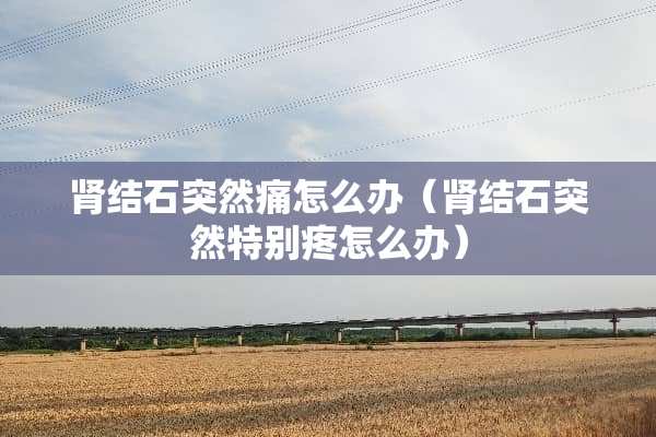 肾结石突然痛怎么办（肾结石突然特别疼怎么办）