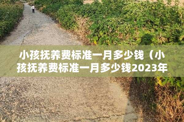 小孩抚养费标准一月多少钱（小孩抚养费标准一月多少钱2023年）