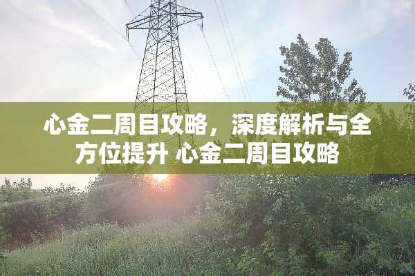 心金二周目攻略，深度解析与全方位提升 心金二周目攻略