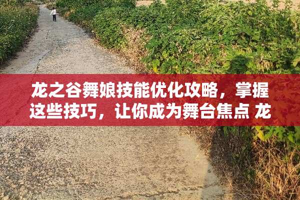 龙之谷舞娘技能优化攻略，掌握这些技巧，让你成为舞台焦点 龙之谷舞娘技能